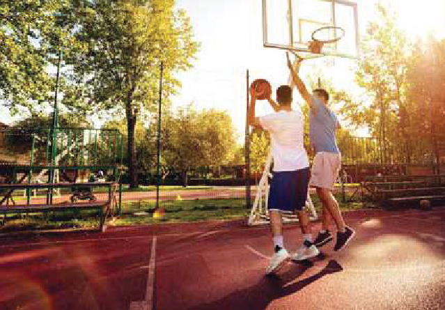 Basketball Court